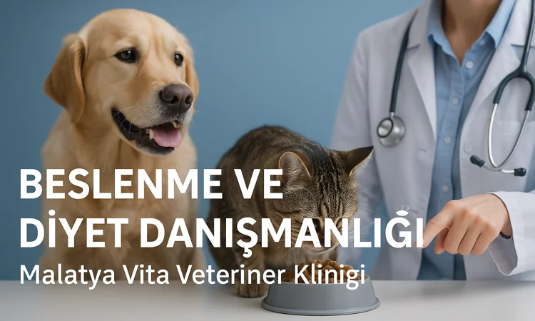 Beslenme ve Diyet Danışmanlığı | Malatya Vita Veteriner Kliniği